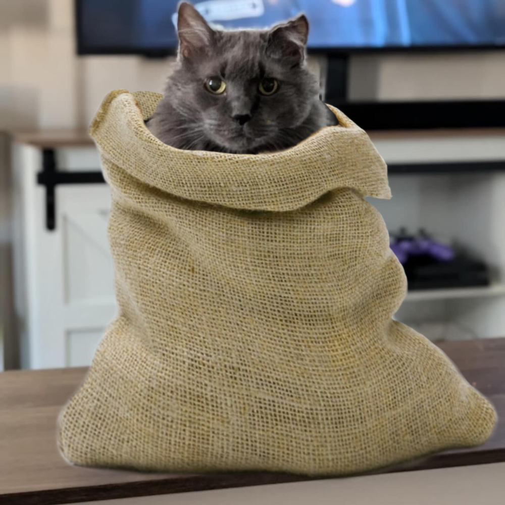 Merlin Edition